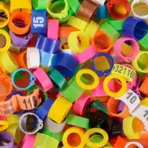 (gepersonaliseerde) E-Z vogelringen bestellen & meer