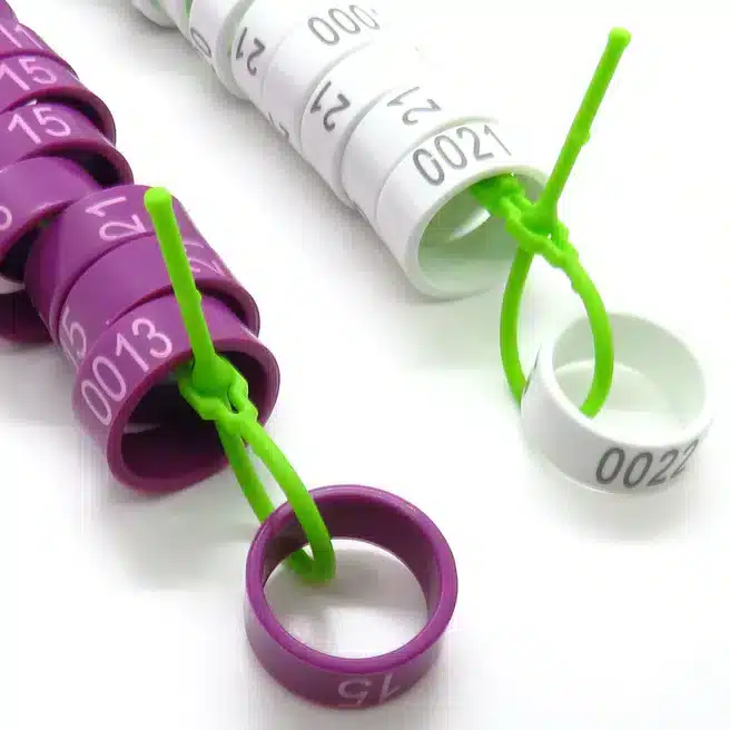 820or_viowhi_detail1000_656x656