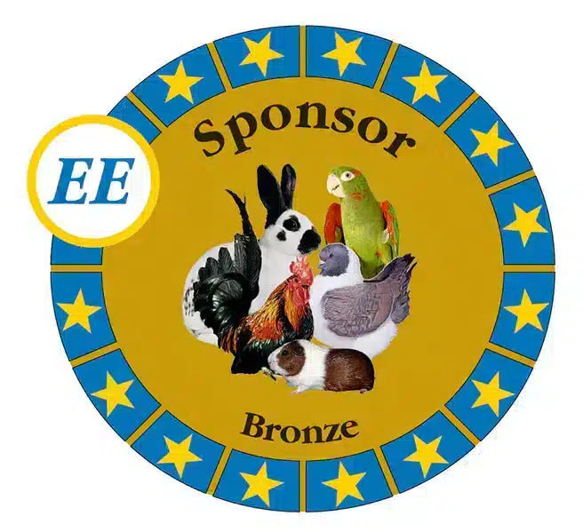 EESponsor_Bronze_656x656