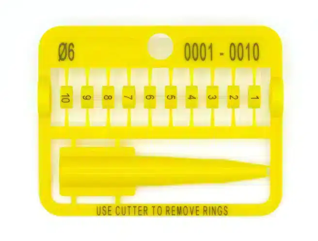 IMG_2862_5fdc768b-c484-4eaf-8657-c3e49bdc4a18_656x656