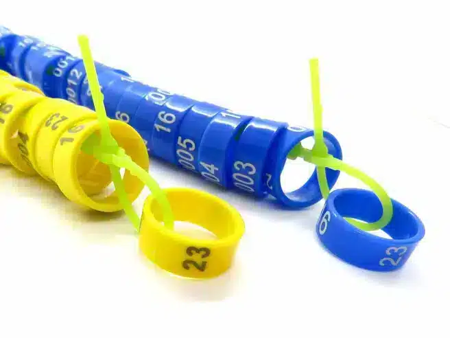 OffCardCOMB23-1000_656x656