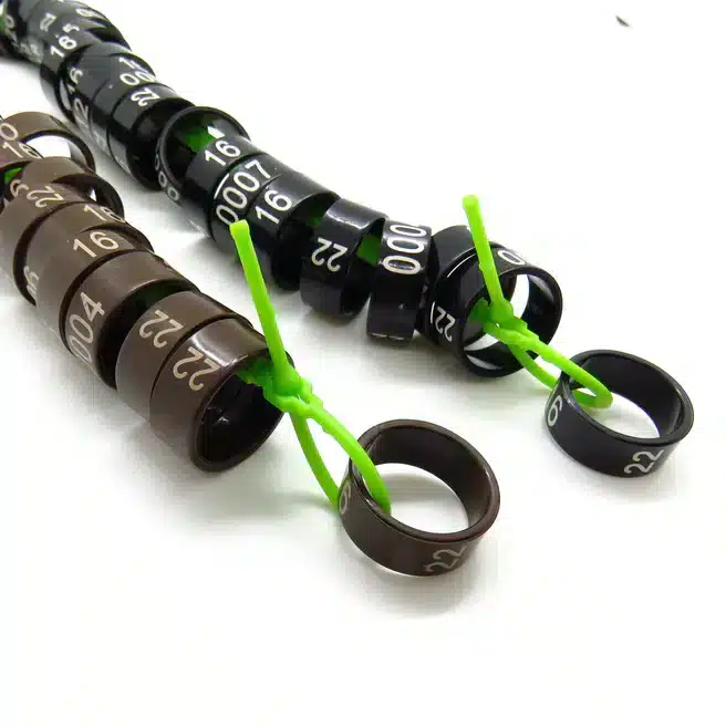 OringOffcardsetdetail221000_656x656